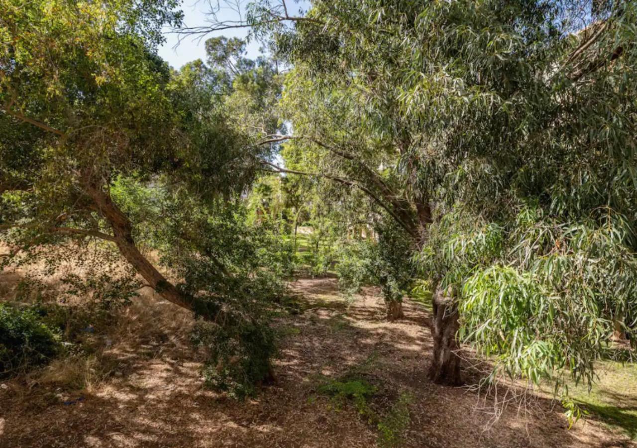 Central 1Br Oasis, Fast Fiber Wifi, Free Parking, Free Netflix With Shelter Haifa Exterior foto